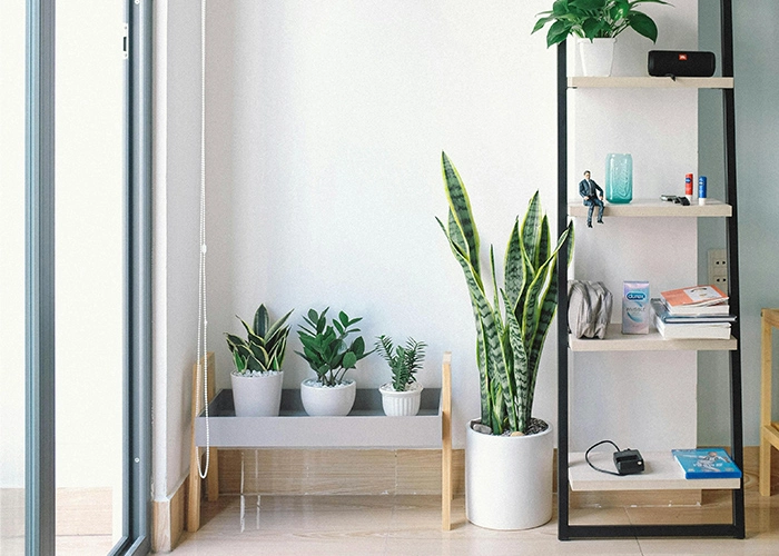 office_img03
